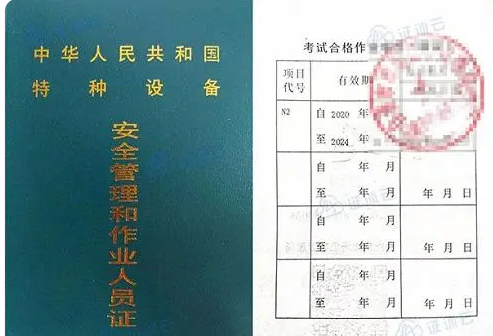 1733475226435.jpg