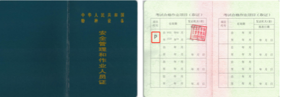 1755074597247.jpg